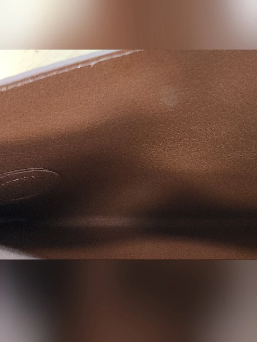 Cuyana System Flap Bag in Dark Chesnut